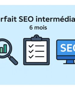 forfait-referencement-seo-plan-intermediaire-6-mois-dashboard