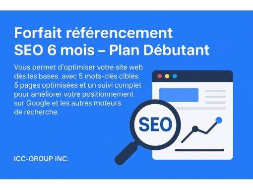 forfait seo debutant icc group