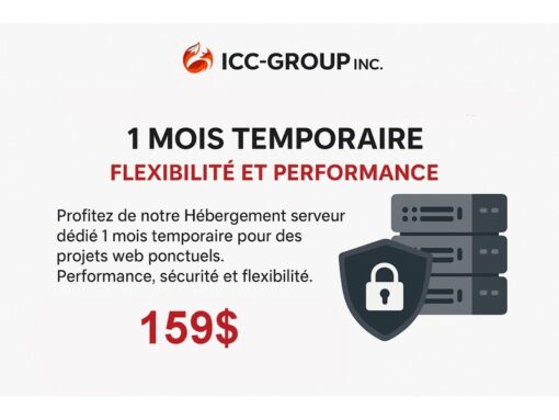 Hébergement Web dédié d’une durée de 1 Mois