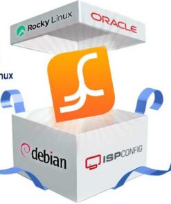 Serveur dédié pour projet temporaire